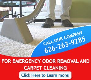 Carpet Cleaning South Pasadena Infographic