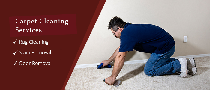 Carpet Cleaning Services